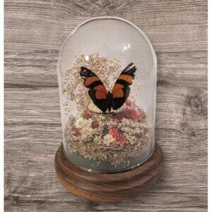 Real Butterfly Taxidermy Glass Dome Mushroom Flowers Handcrafted MCM Boho Vtg